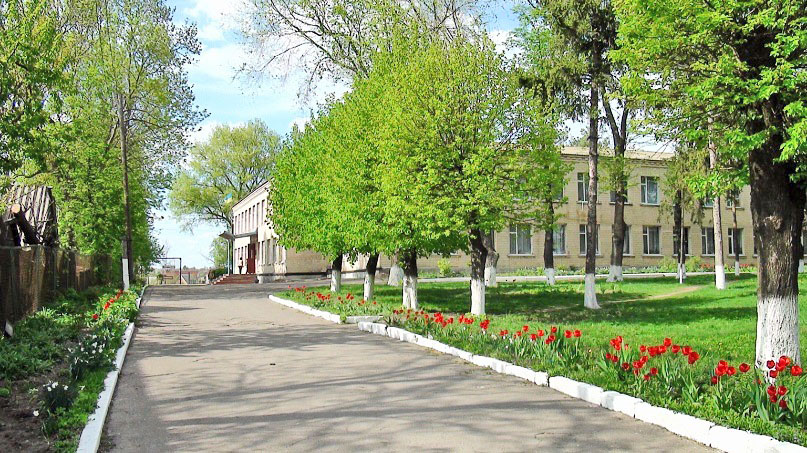 Липовець